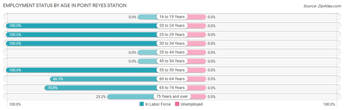 Employment Status by Age in Point Reyes Station