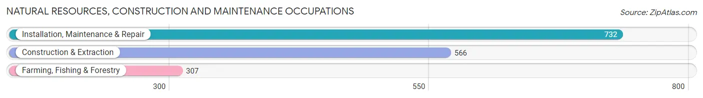 Natural Resources, Construction and Maintenance Occupations in Port Hueneme