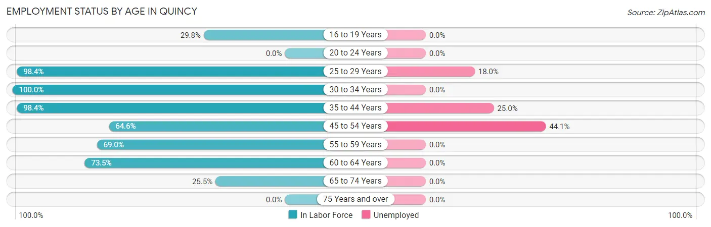 Employment Status by Age in Quincy
