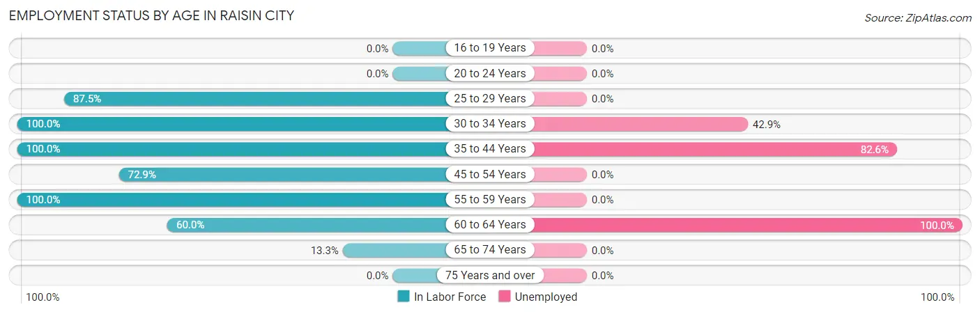 Employment Status by Age in Raisin City