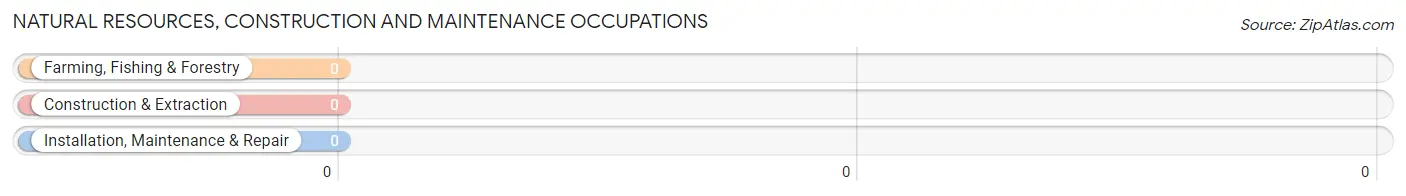 Natural Resources, Construction and Maintenance Occupations in Randsburg