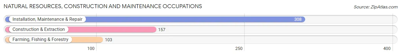 Natural Resources, Construction and Maintenance Occupations in Red Bluff