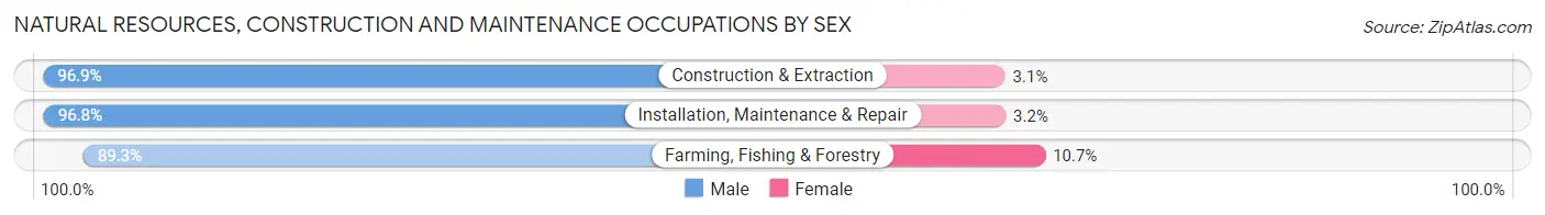 Natural Resources, Construction and Maintenance Occupations by Sex in Redding