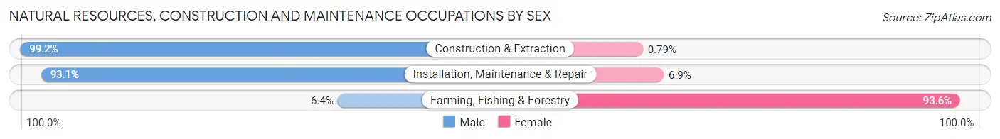 Natural Resources, Construction and Maintenance Occupations by Sex in Rocklin