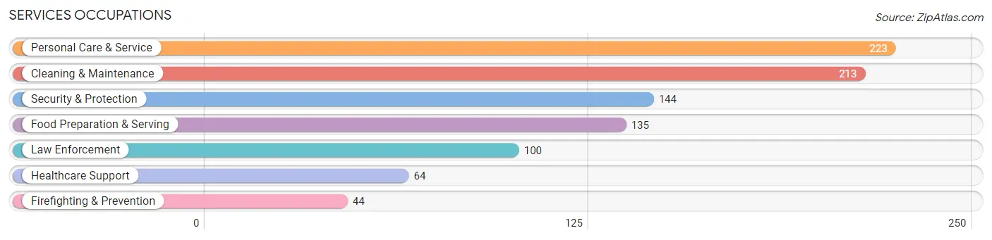 Services Occupations in Rodeo