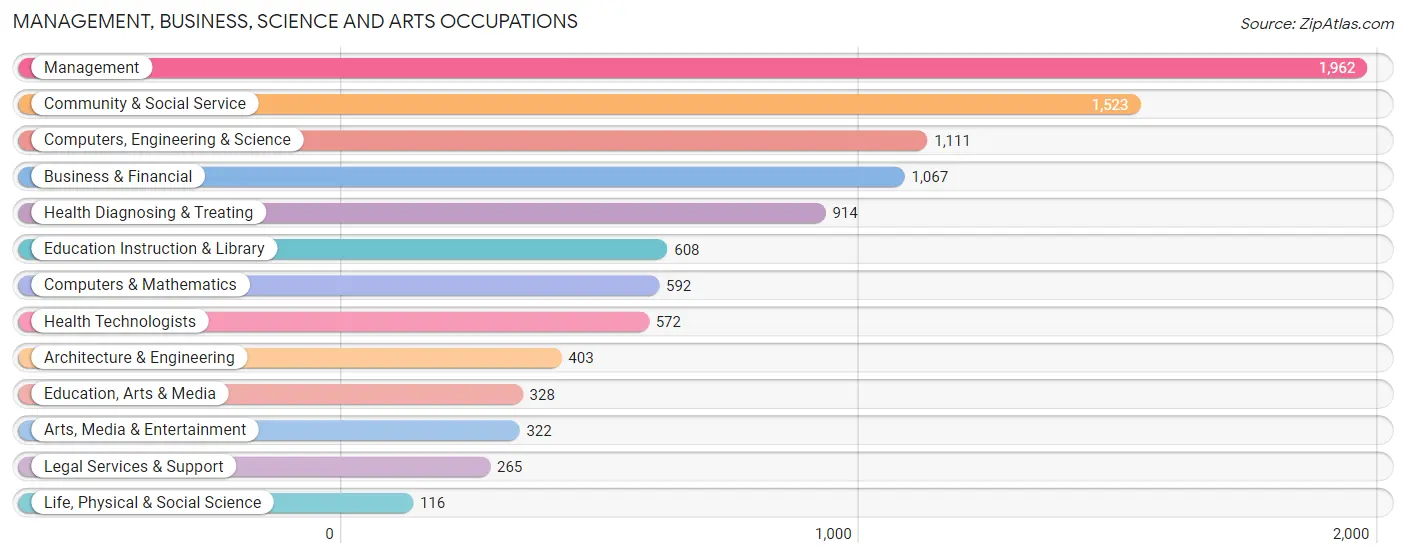 Management, Business, Science and Arts Occupations in Rosemead