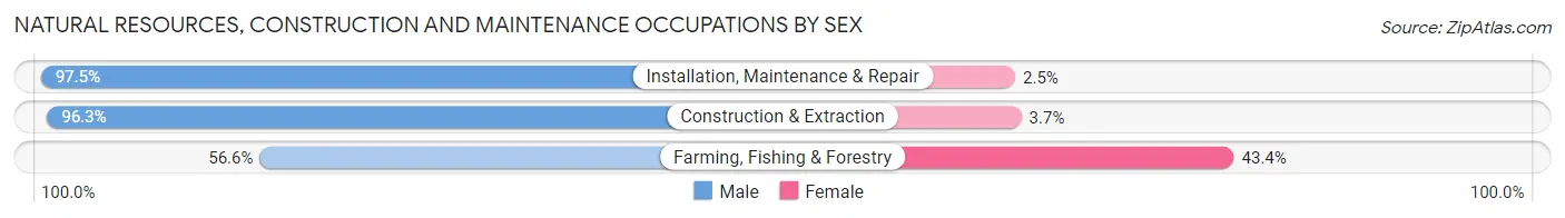 Natural Resources, Construction and Maintenance Occupations by Sex in Roseville