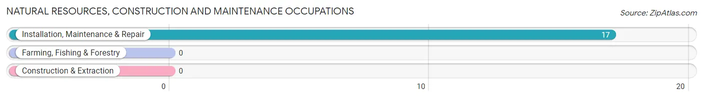 Natural Resources, Construction and Maintenance Occupations in Rough And Ready