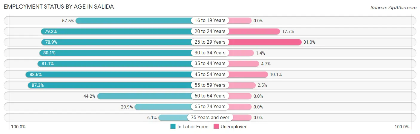 Employment Status by Age in Salida