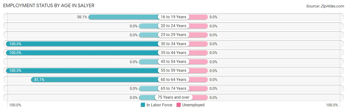 Employment Status by Age in Salyer