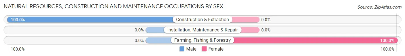 Natural Resources, Construction and Maintenance Occupations by Sex in Salyer