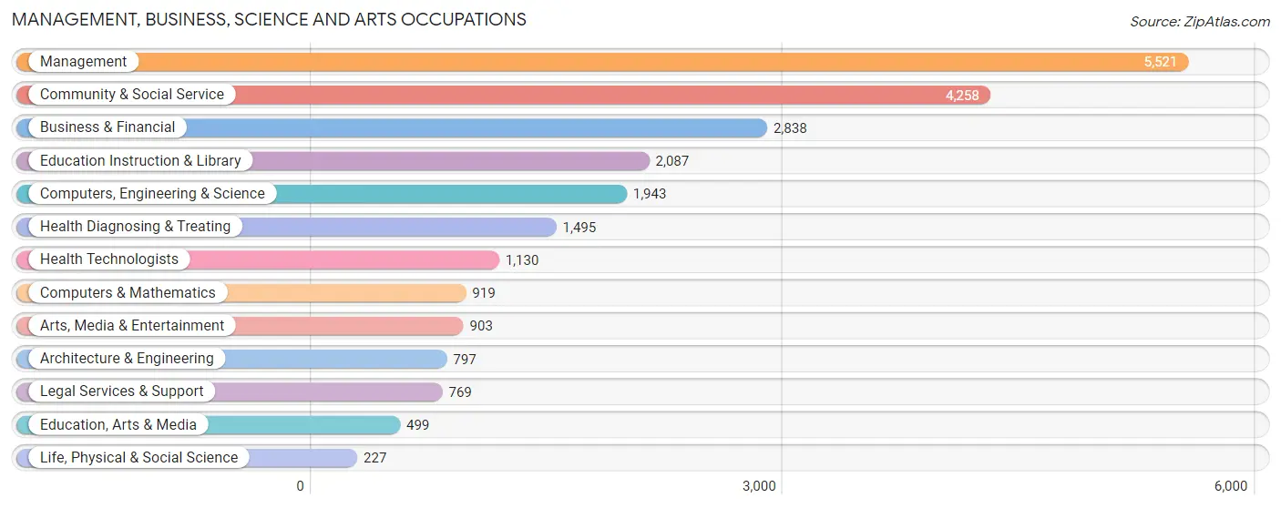 Management, Business, Science and Arts Occupations in San Clemente