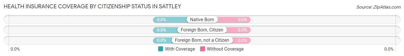 Health Insurance Coverage by Citizenship Status in Sattley
