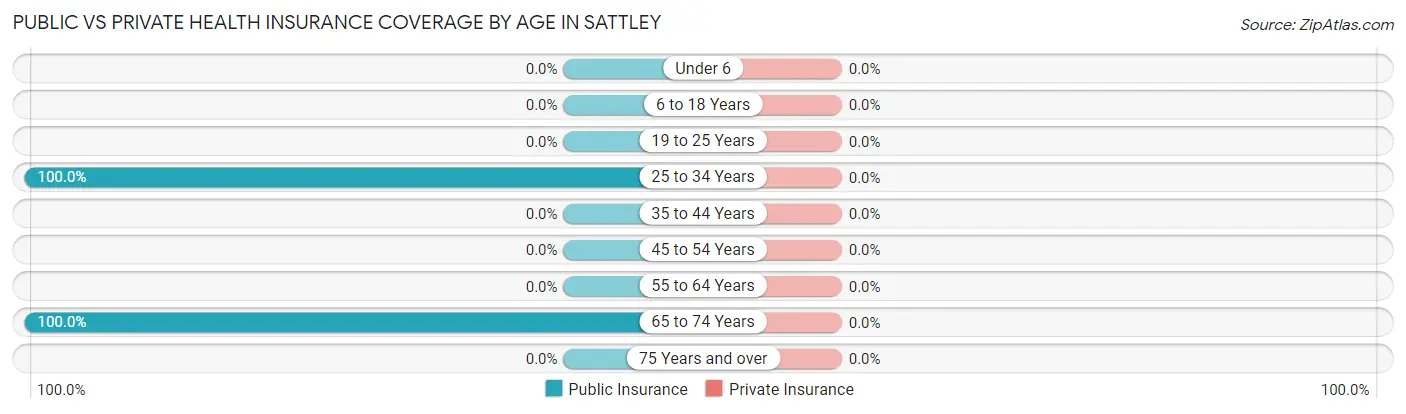Public vs Private Health Insurance Coverage by Age in Sattley
