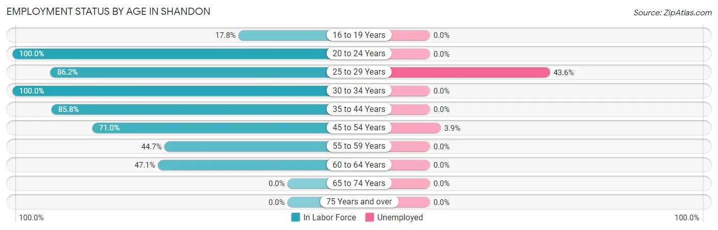 Employment Status by Age in Shandon