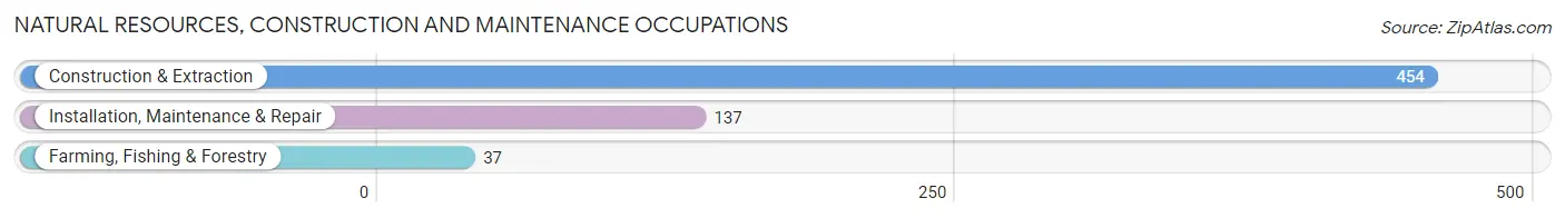 Natural Resources, Construction and Maintenance Occupations in Shasta Lake