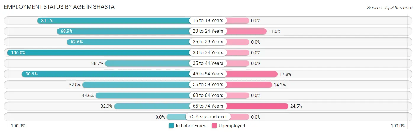 Employment Status by Age in Shasta