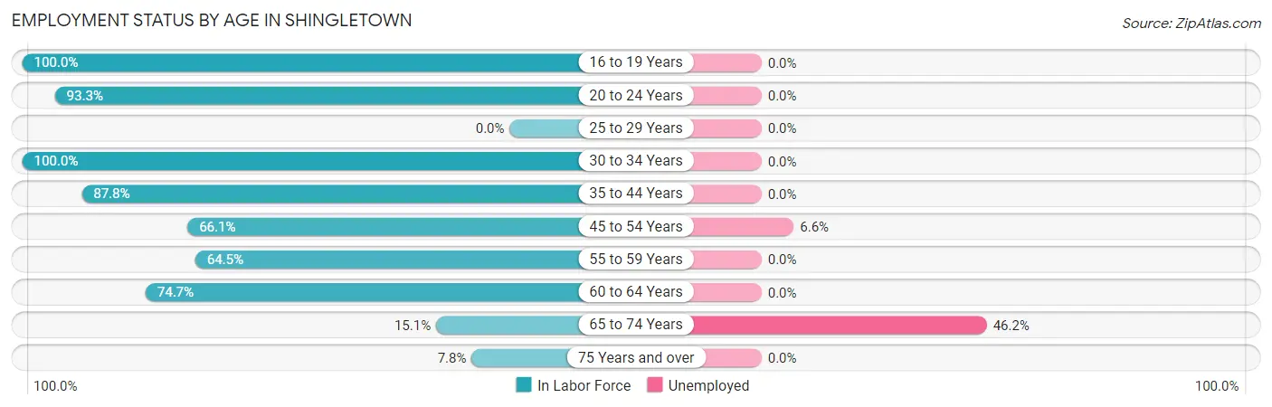 Employment Status by Age in Shingletown