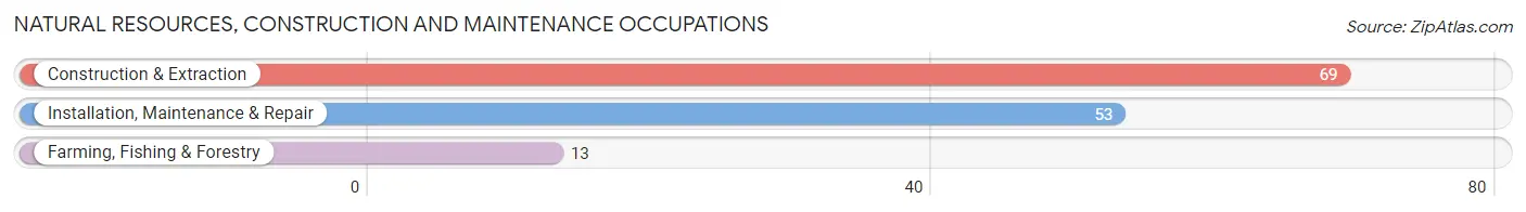 Natural Resources, Construction and Maintenance Occupations in Sierra Madre