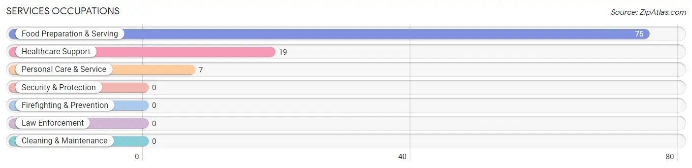 Services Occupations in Sleepy Hollow