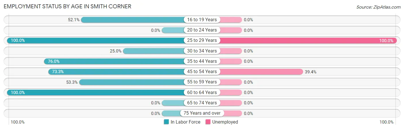 Employment Status by Age in Smith Corner