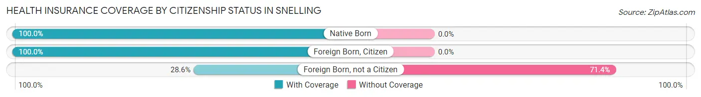 Health Insurance Coverage by Citizenship Status in Snelling
