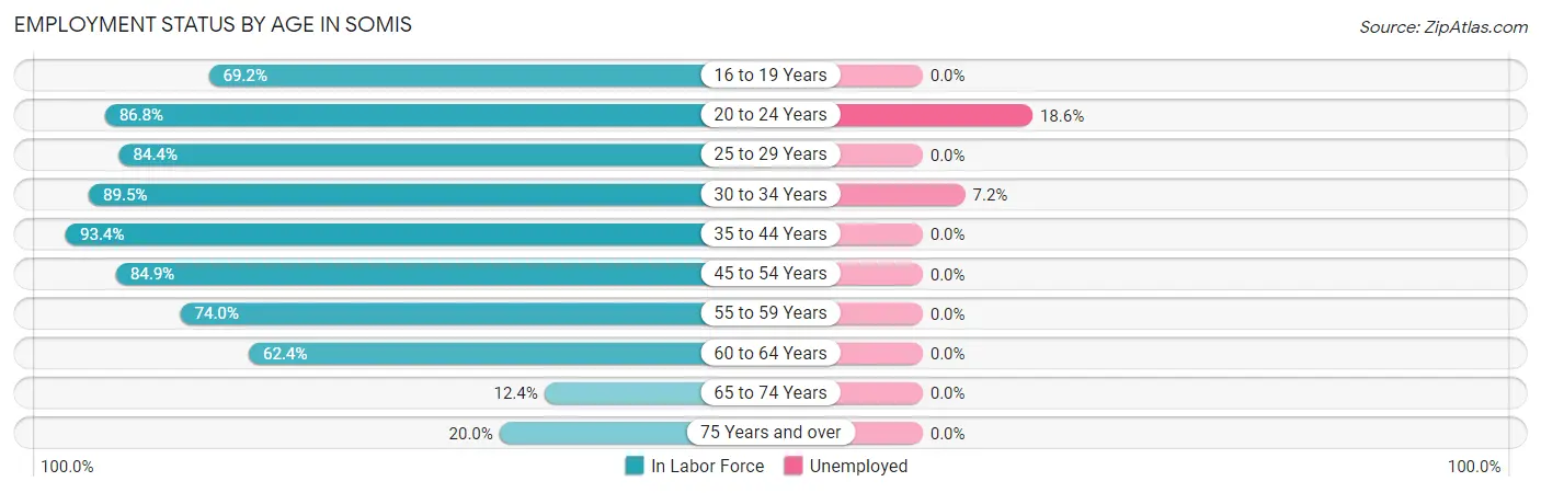 Employment Status by Age in Somis