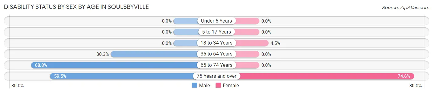 Disability Status by Sex by Age in Soulsbyville
