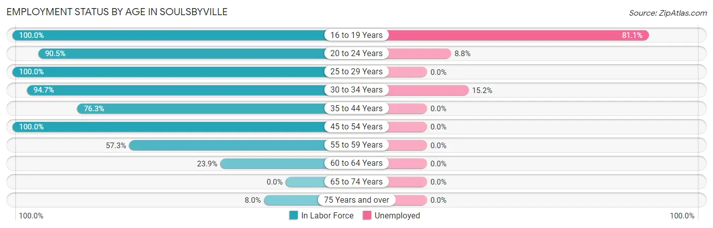 Employment Status by Age in Soulsbyville
