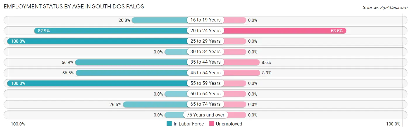 Employment Status by Age in South Dos Palos