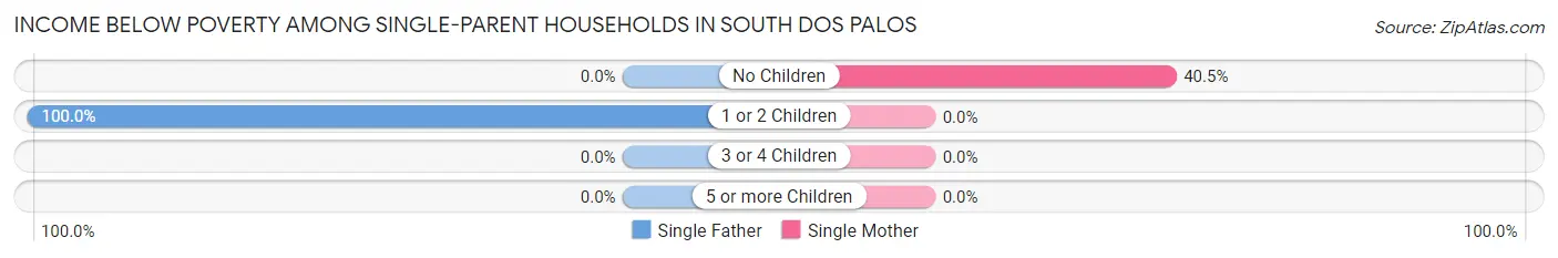 Income Below Poverty Among Single-Parent Households in South Dos Palos