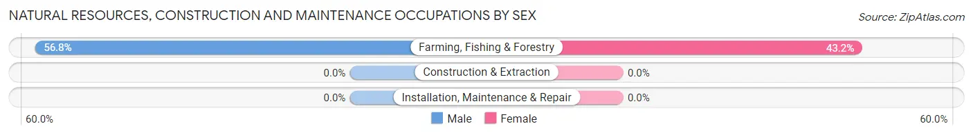 Natural Resources, Construction and Maintenance Occupations by Sex in South Dos Palos