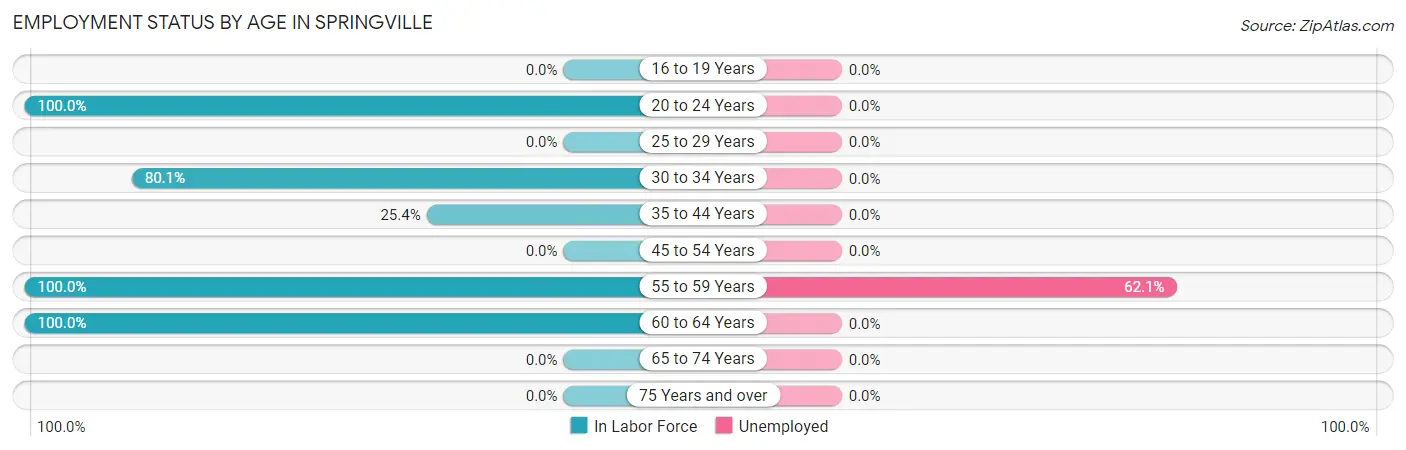 Employment Status by Age in Springville