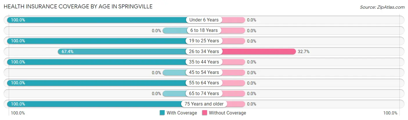 Health Insurance Coverage by Age in Springville