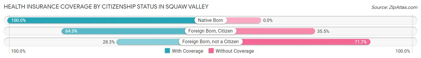 Health Insurance Coverage by Citizenship Status in Squaw Valley