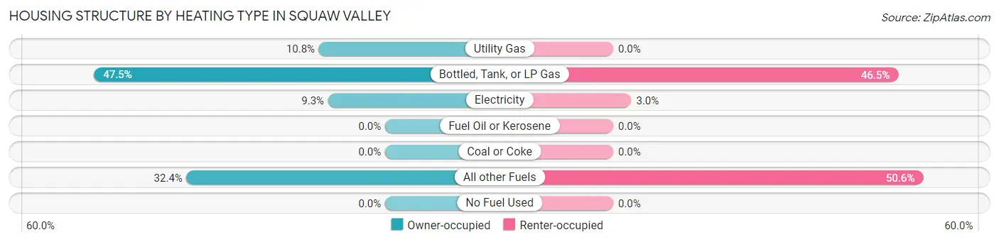 Housing Structure by Heating Type in Squaw Valley