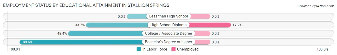 Employment Status by Educational Attainment in Stallion Springs