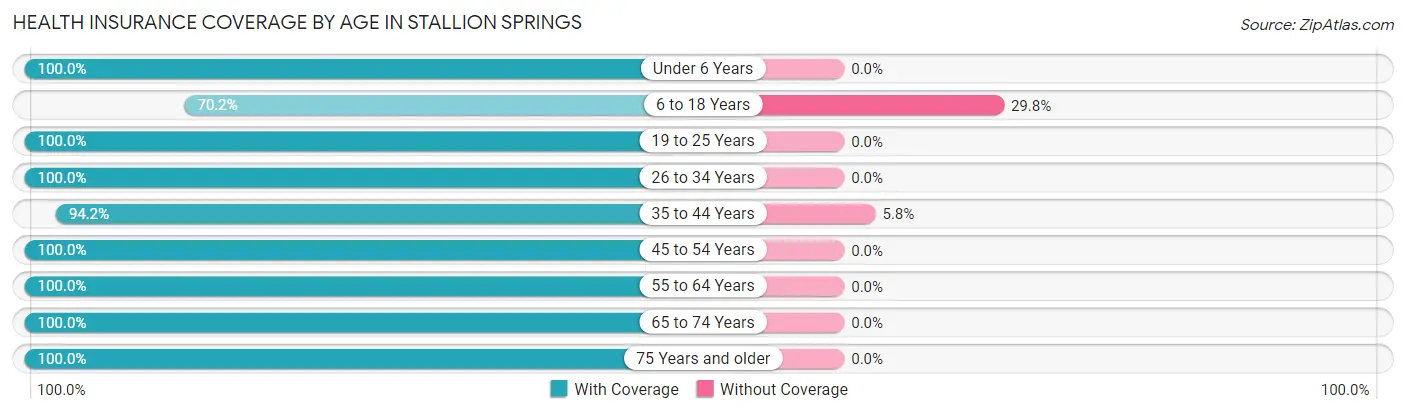 Health Insurance Coverage by Age in Stallion Springs