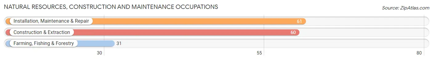 Natural Resources, Construction and Maintenance Occupations in Sutter