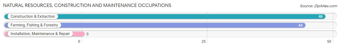 Natural Resources, Construction and Maintenance Occupations in Thornton