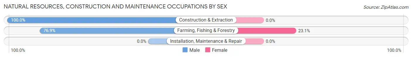 Natural Resources, Construction and Maintenance Occupations by Sex in Three Rivers