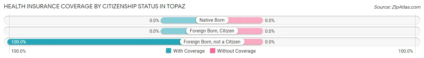 Health Insurance Coverage by Citizenship Status in Topaz