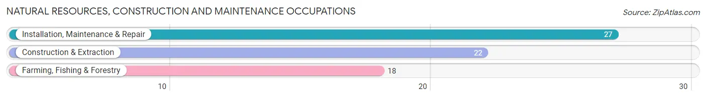 Natural Resources, Construction and Maintenance Occupations in Toro Canyon