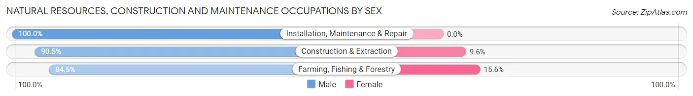 Natural Resources, Construction and Maintenance Occupations by Sex in Tulare