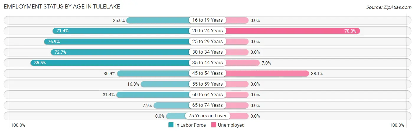 Employment Status by Age in Tulelake
