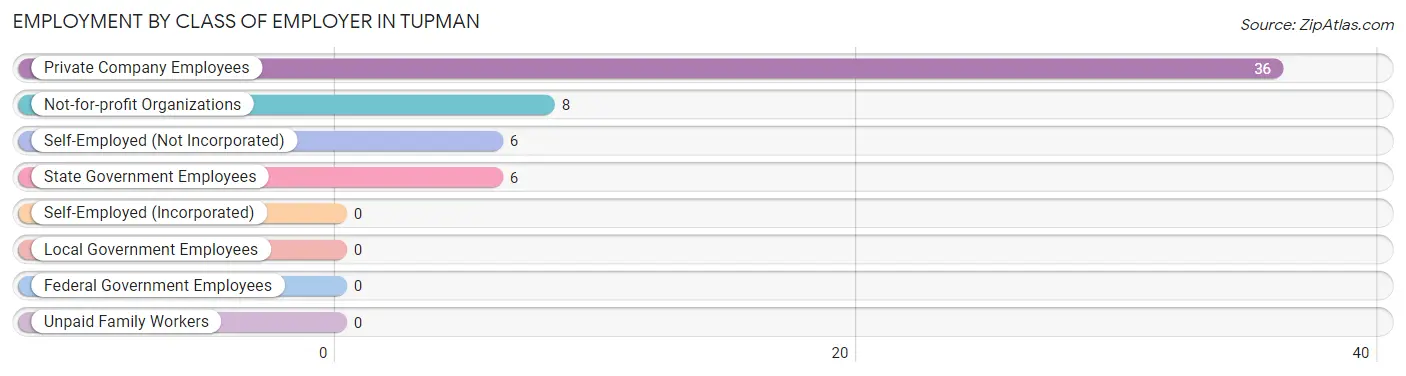 Employment by Class of Employer in Tupman