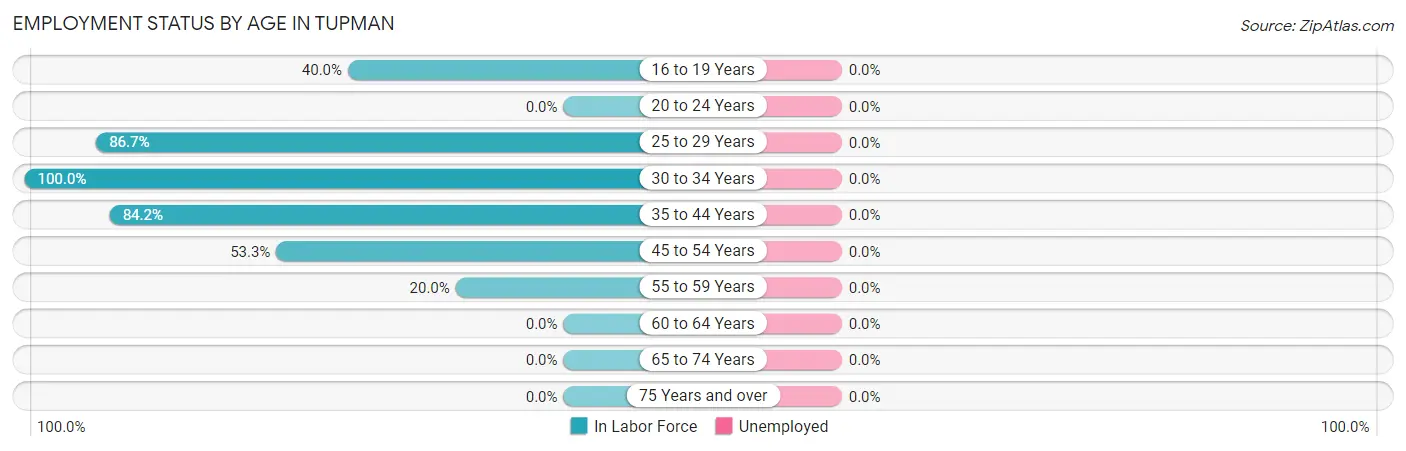 Employment Status by Age in Tupman