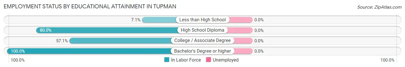 Employment Status by Educational Attainment in Tupman