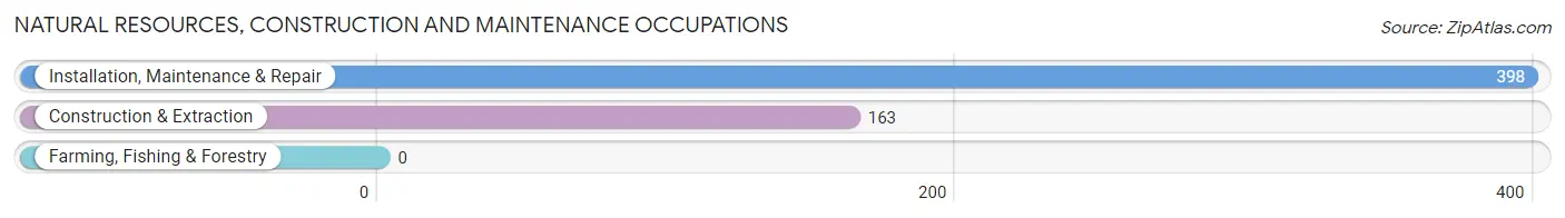 Natural Resources, Construction and Maintenance Occupations in Twentynine Palms