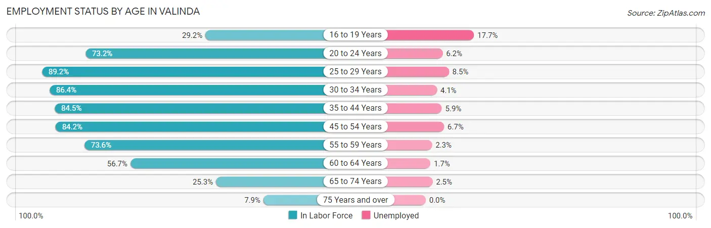 Employment Status by Age in Valinda